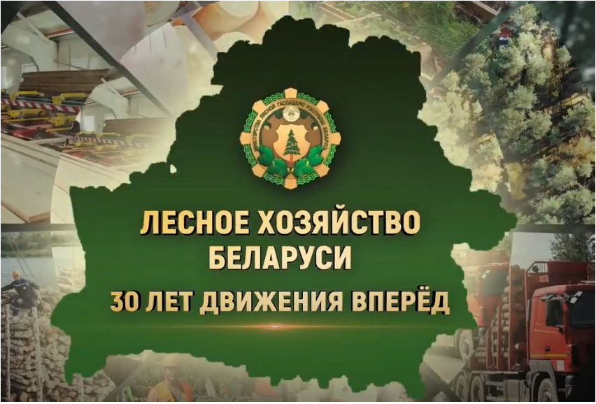 30 лет движения вперед