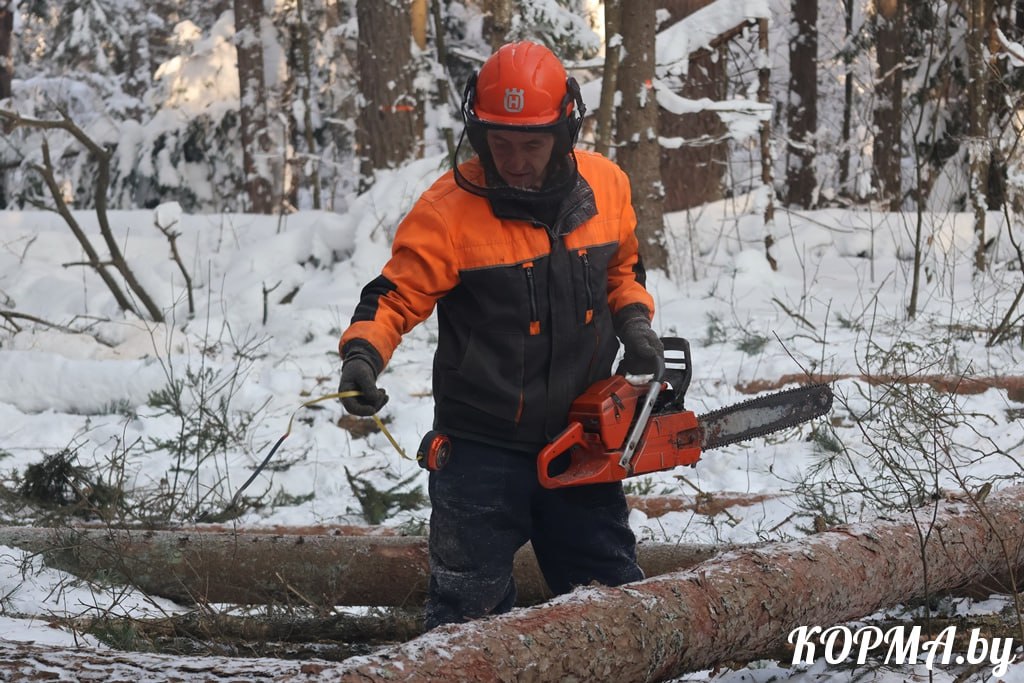 Лебедев ВВ 2026