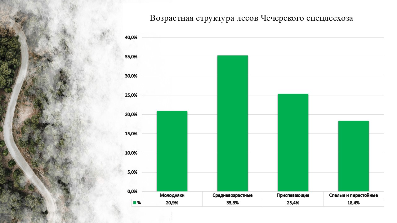 На сайт возр. структура лесов