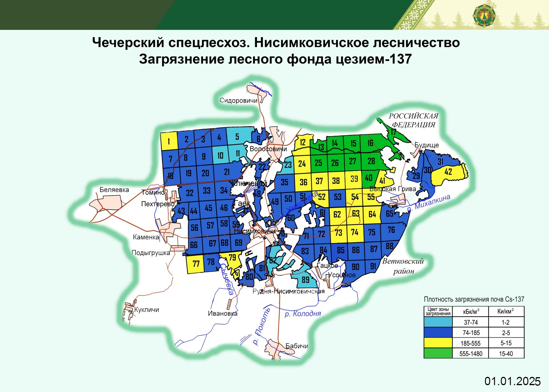 Нисимковичское лесничество 2025