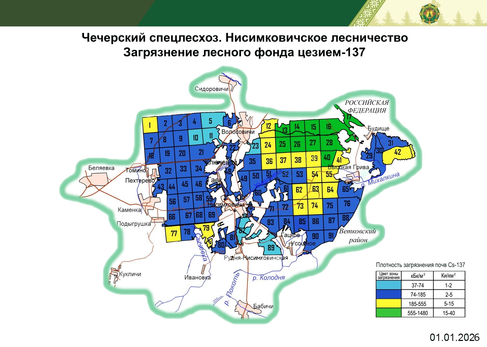 Нисимковичское лесничество 2025