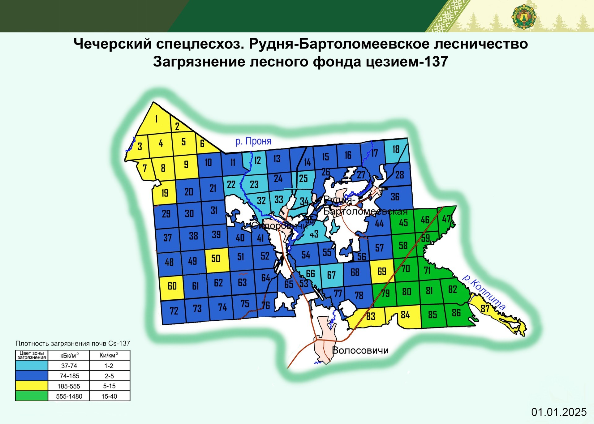 Рудня Бартоломеевское лесничество2025