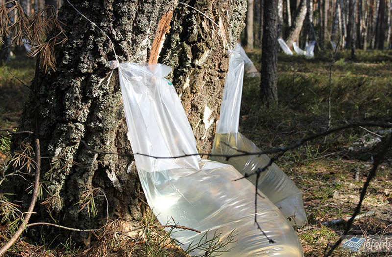 Сок березовый 22