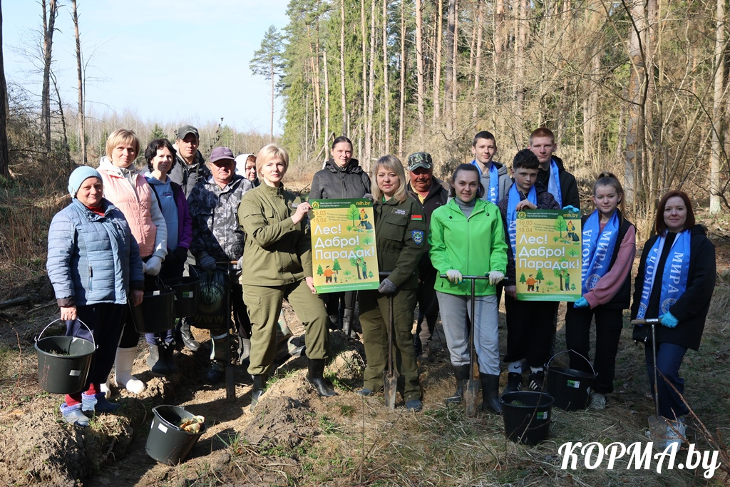акция весна Корма 2026