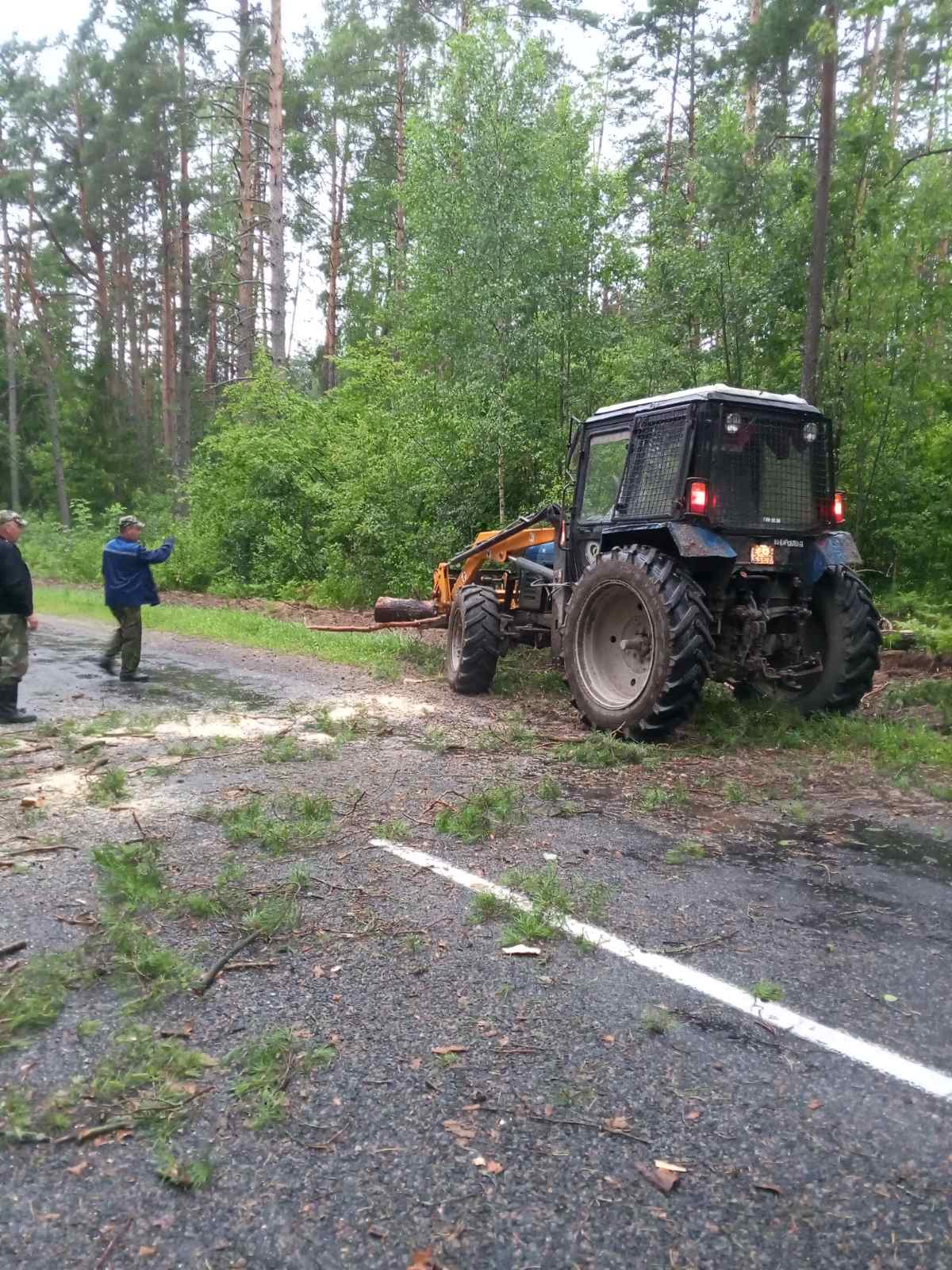 бурелом дорога 24