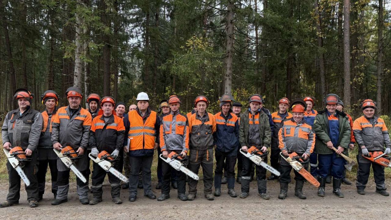 вальщики леса