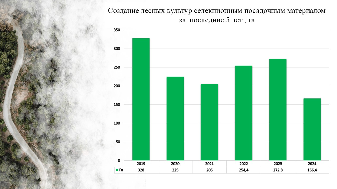 лесовост селекц