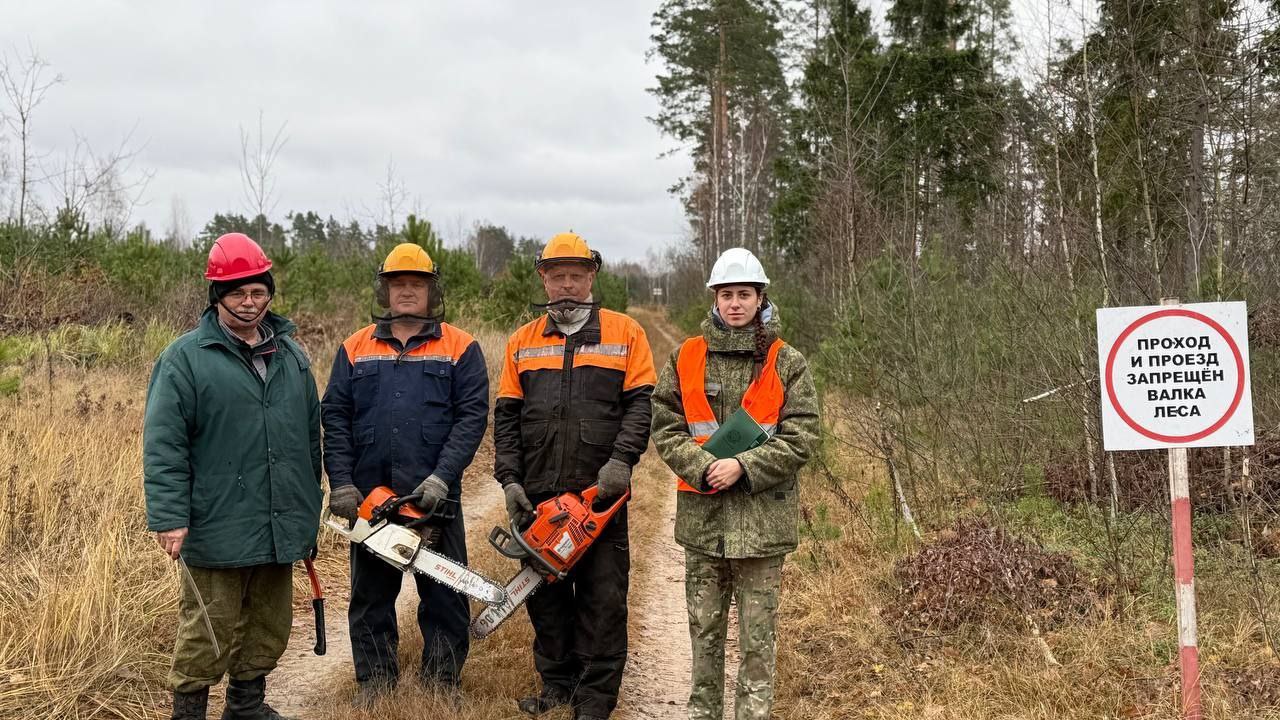 неделя от Полесье ноябрь