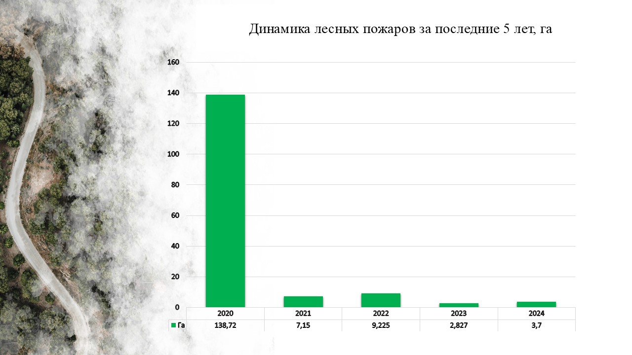 пожары 24