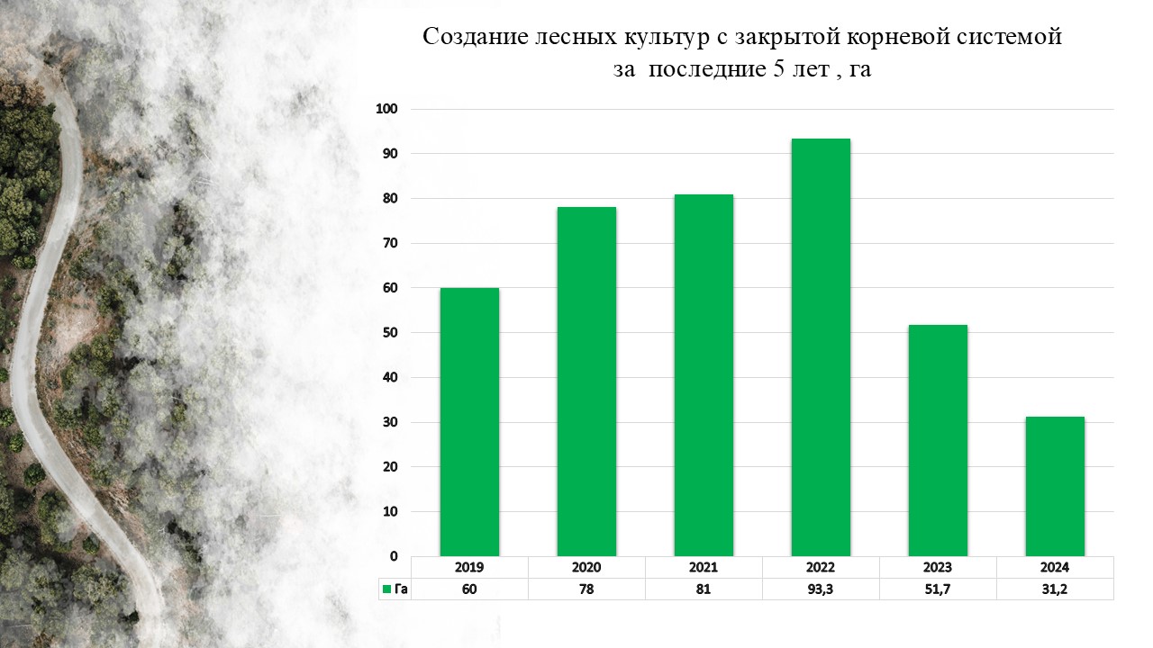 создание культур зкс 2024