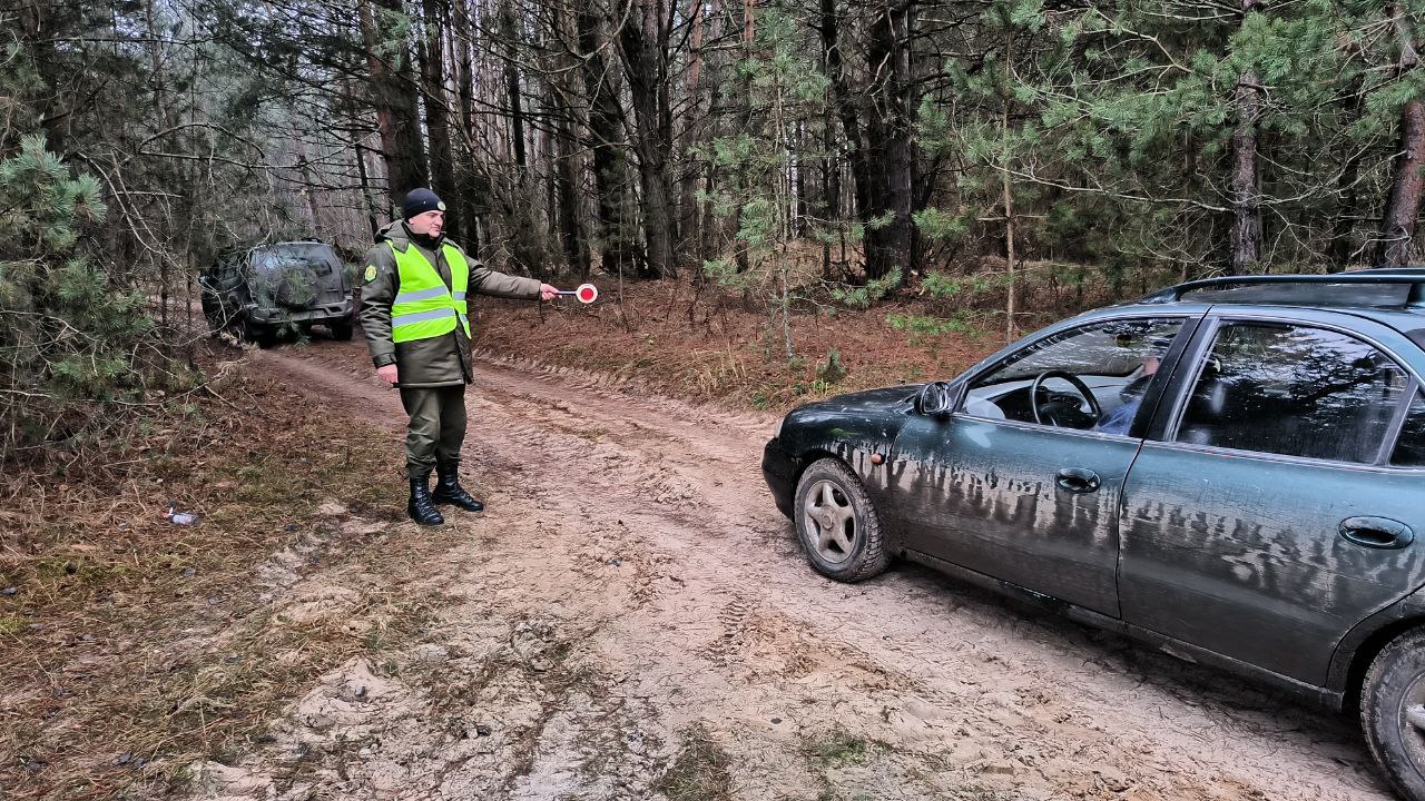 урежим елки