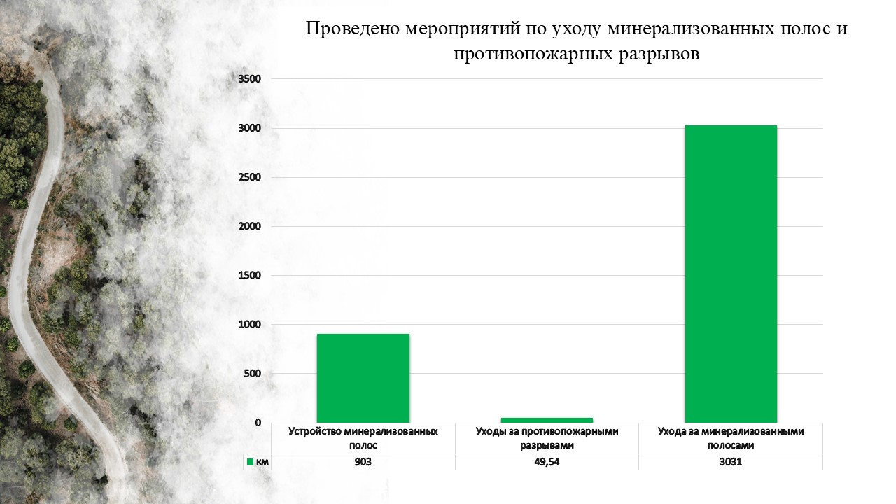 уход за полосами 24