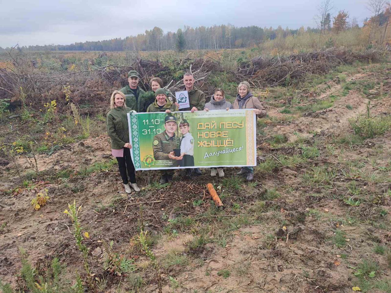 экология на посадке 2025